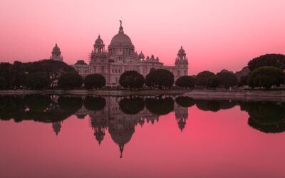 Revealing India’s Premier SEO Companies: Excelling in the Digital Ecosystem