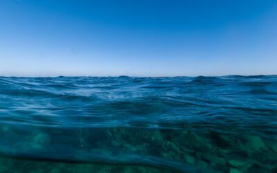 Enhance Online Visibility and Rankings with Wix’s Robust SEO Tool