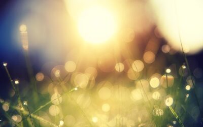 Optimizing Real Estate Marketing: Efficient Strategies for Brand Enhancement