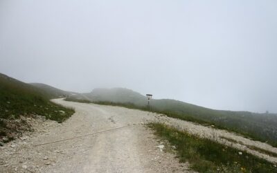 Deciphering the Intersection of Finance and Technology: An Insight into Cryptocurrency Blogging