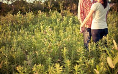 Harnessing Web Analytics: Innovative Approaches for Website Triumph