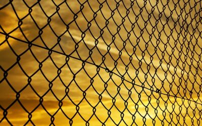 Exploring the Internet: The Dangers of Malfunctioning Hyperlinks