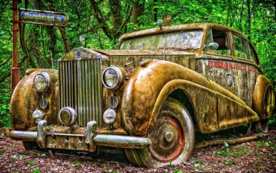 Maximizing eCommerce Potential: Strategies for Developing a Prosperous Online Business